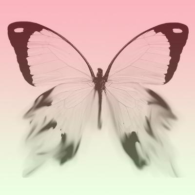 Aflevering 14 - Butterfly Effect