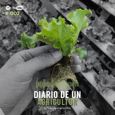 Mil Raices (emprendimiento) Mil Raices (emprendimiento)