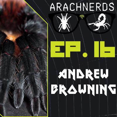 Andrew Browning of NMTs | ArachNerds Ep. 16 Andrew Browning of NMTs | ArachNerds Ep. 16