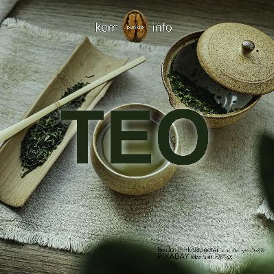 KP220 Teo
