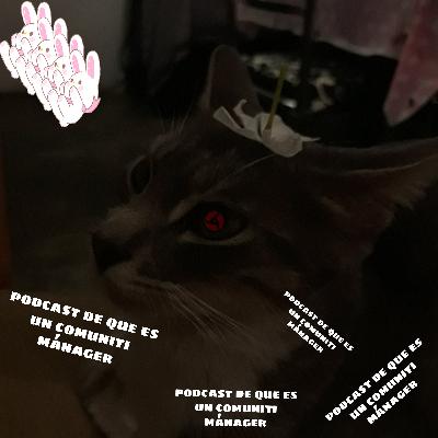 Que es un comuniti mánager y sus características uwu.