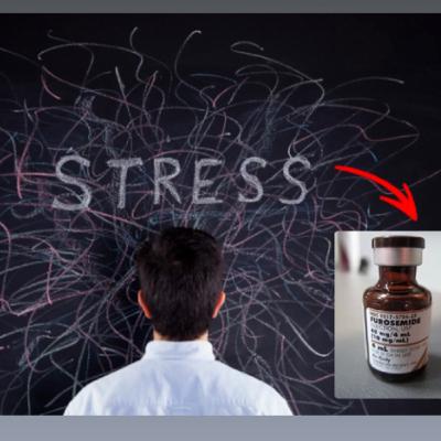 Stress con furosemida , cómo podemos aplicarla ? Stress con furosemida , cómo podemos aplicarla ?