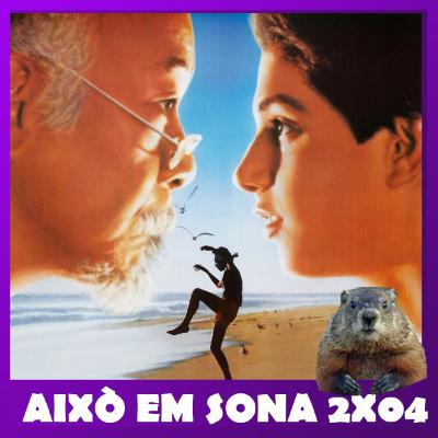 Això em sona - 2x04 - Saga The Karate kid