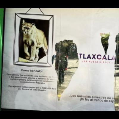 🦒 ENFRENTA ZOOLÓGICO DEL ALTIPLANO DOBLE DESAFÍO: FINANCIAMIENTO Y CONDUCTA DE VISITANTES 🦓🐘