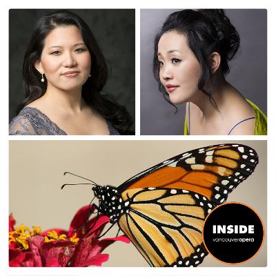 When Two Butterflies Meet