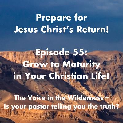How to Grow to Maturity in Christ: Aligning Your Will with God’s Plan