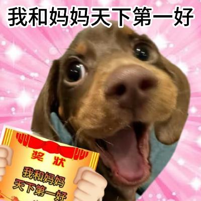 vol.14 思想超前卫的“闺蜜型”母女：妈！女儿喊你来录播客了!
