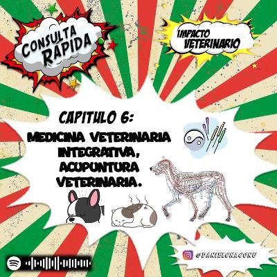 Capítulo 6. Consulta Rápida - Medicina veterinaria integrativa, acupuntura veterinaria.