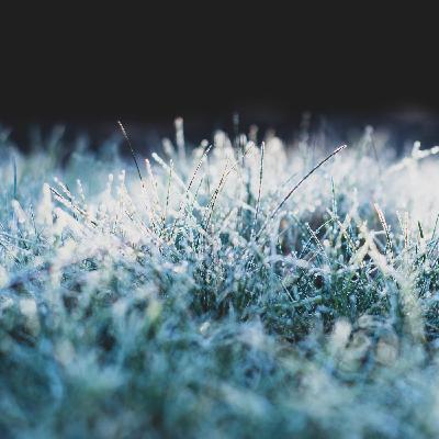 Outwitting the Weather Outwitting the Weather
