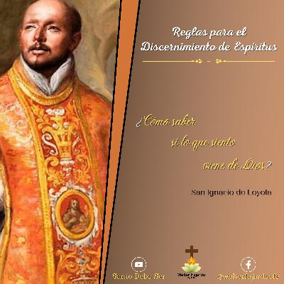 15 Segunda Semana - Reglas 5 y 6