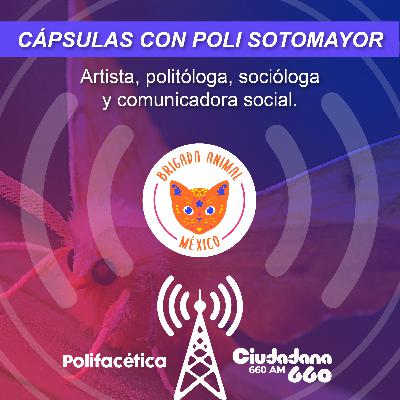 Aniversario de Brigada Animal México - Cápsula Radio Ciudadana 660