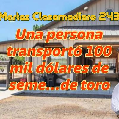 Martes Clasemediero 243: Una persona transportó 100 mil dólares de seme...de toro