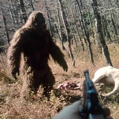 5 TRUE SCARY PARK RANGER HORROR STORIES 5 TRUE SCARY PARK RANGER HORROR STORIES