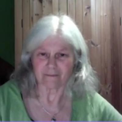 Sally Pearce - Pripyat Horse