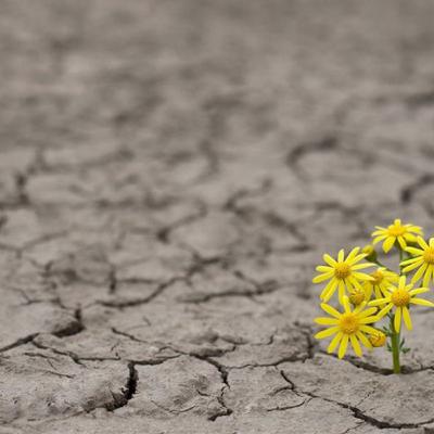 El Ser Humano, un Ser Limitado