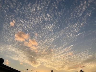 2025.11/16 タイムマシーンに乗る from Radiotalk