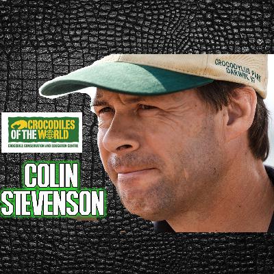 ReptiChat #Ep 49 - Colin Stevenson of Crocodiles of The World