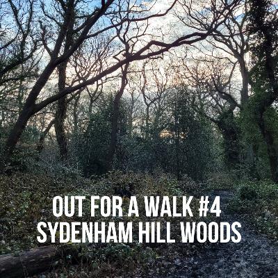 Out for a Walk #4 - Sydenham Hill Woods