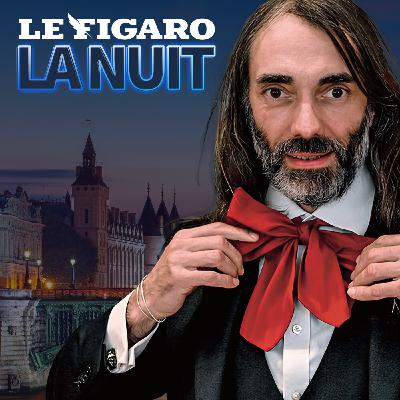 Cédric Villani : «Avec l'IA, le domaine où c'est le plus flippant, c'est la guerre»