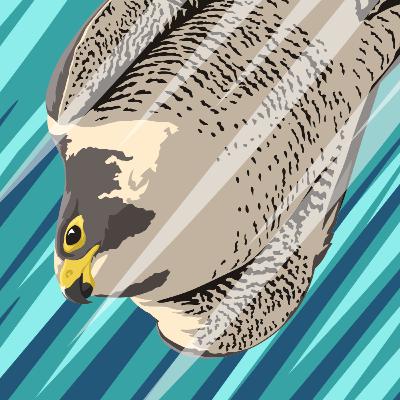 What It Takes To Be The Fastest Animal Alive