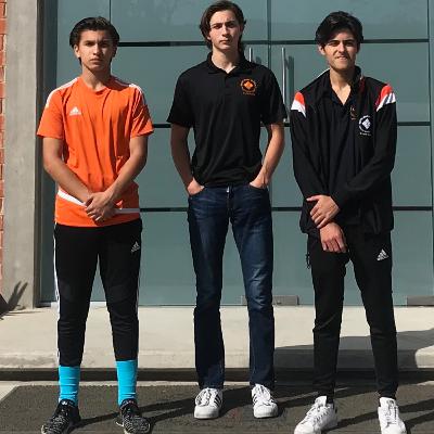 principios de diseño