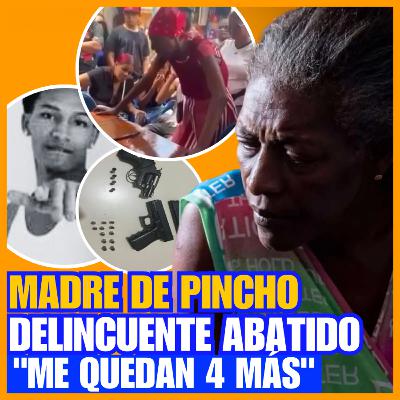 LAS POLÉMICAS DECLARACIONES DE LA MADRE DE DELINCUENTE "PINCHO"