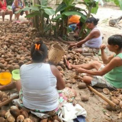 Unidade de conservação de uso sustentável- Reserva Extrativista RESEX