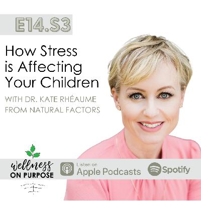How Stress is Affecting Your Children How Stress is Affecting Your Children