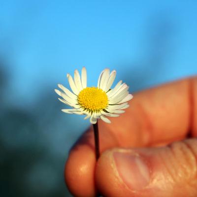 317 – Keizan's Denkoroku Chapter 1: Mahakashyapa's Smile 317 – Keizan's Denkoroku Chapter 1: Mahakashyapa's Smile