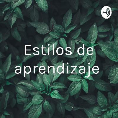 Estilos de aprendizaje