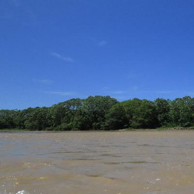 ¿Qué te inspira la selva?