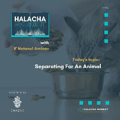 Separating For An Animal - Halacha Moment