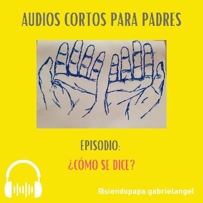 ¿Cómo se dice?