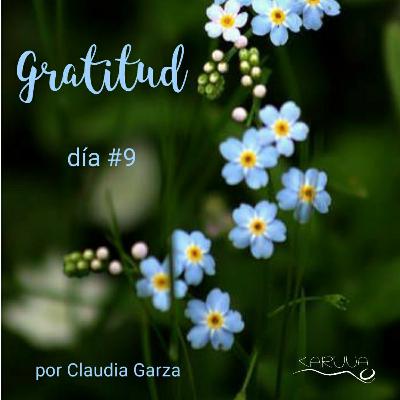 Gratitud día #9 Apreciando el sueño Gratitud día #9 Apreciando el sueño