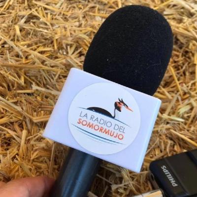 La Radio del Somormujo - Prog 254. Previa DBF y Fin de 7a temporada