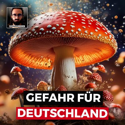 🎤 Sind FLIEGENPILZE eine Gefahr für Deutschland? | Deutschland am Abgrund durch Trolls 🎤 Sind FLIEGENPILZE eine Gefahr für Deutschland? | Deutschland am Abgrund durch Trolls
