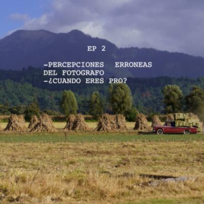 Percepciones de una persona no-fotógrafa (invitado) Percepciones de una persona no-fotógrafa (invitado)