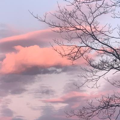 Ingrid Aubrey Interview