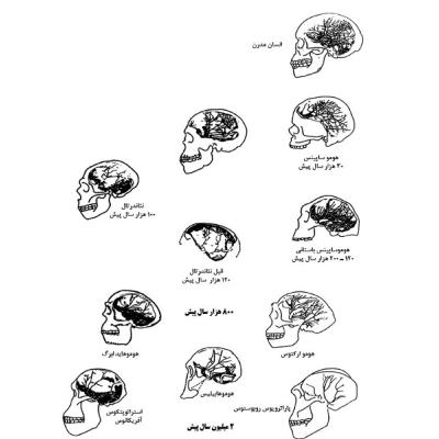 مکانیسم خلاقیت و اختراع در مغز مکانیسم خلاقیت و اختراع در مغز