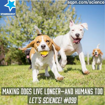 Making Dogs Live Longer—And Humans Too Making Dogs Live Longer—And Humans Too
