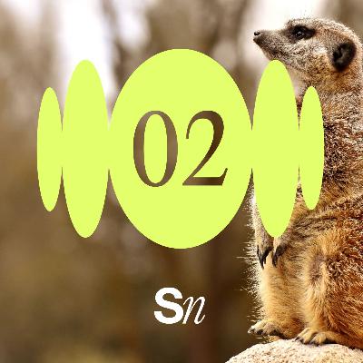 2. Conciencia sobre los Zoológicos 2. Conciencia sobre los Zoológicos