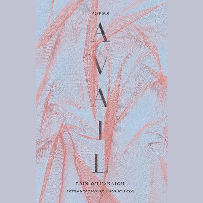 Erin’s New Book “Avail”