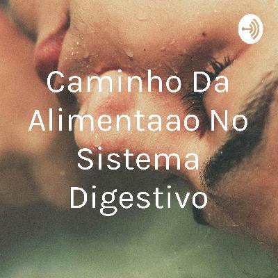Trajeto dos alimentos pelo sistema digestório