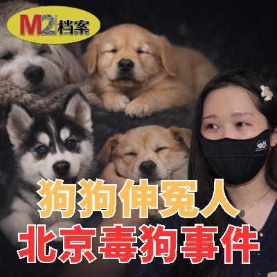11隻狗被毒死後，她辭職自學刑法，把鄰居送進監獄