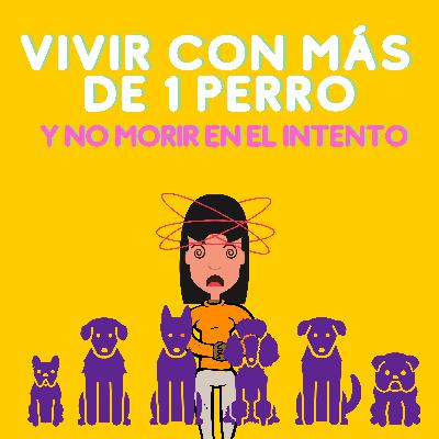 23 - Cómo vivir con más de un perro y no morir en el intento