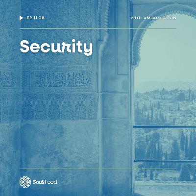 Episode 11.8 - Security