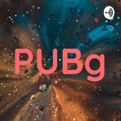 Brief of pubg