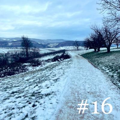 #16 - Ma routine hebdomadaire est enfin en place ! 🥳
