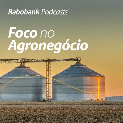 Etanol de milho e o mercado de açúcar