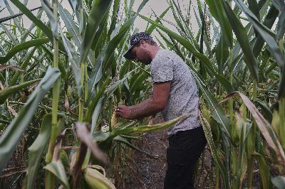 Small farmers across the U.S. are suffering as government shutdown drags on